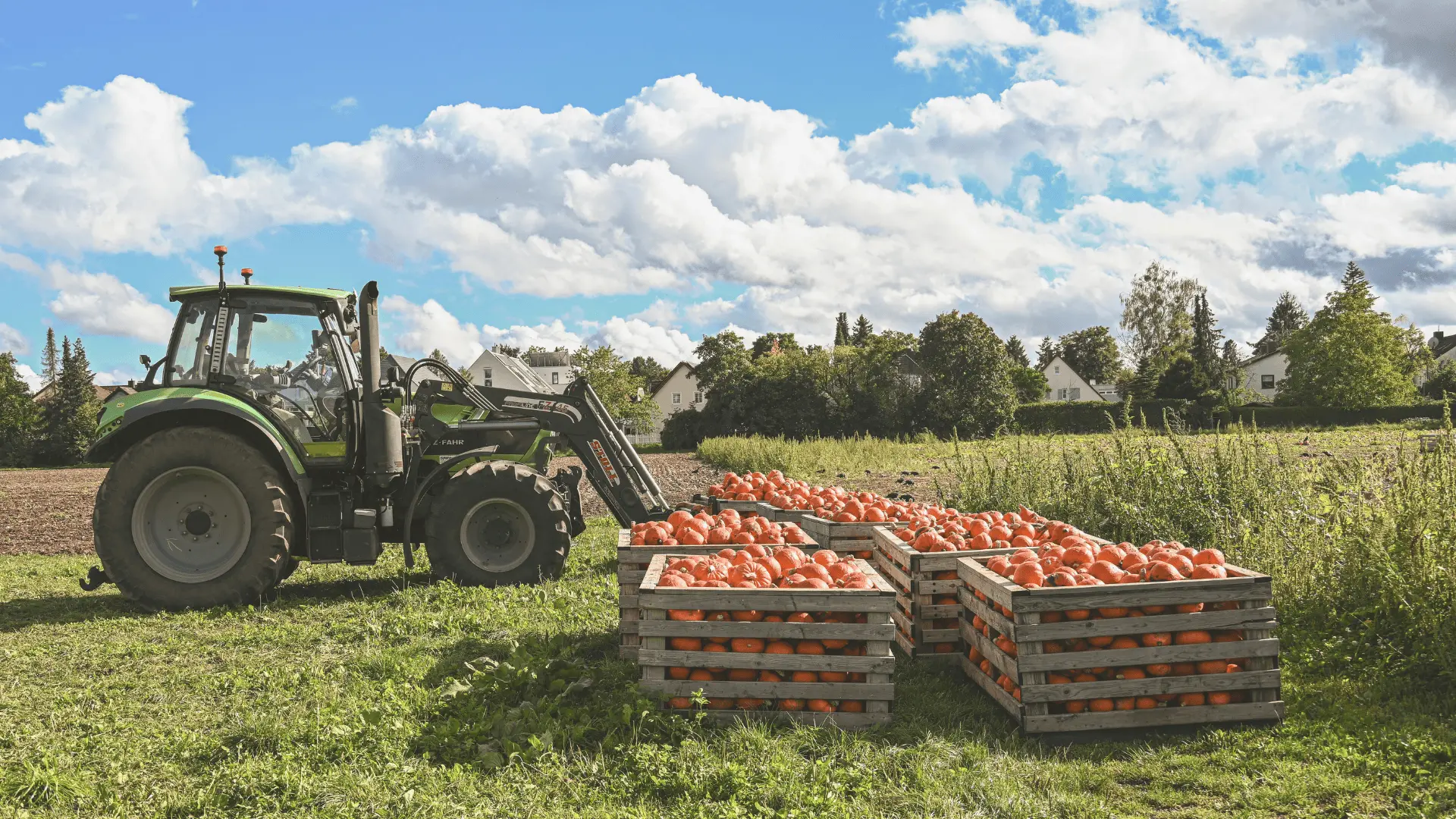 Integrált növénytermesztés és állattenyésztés modern technológiával, stabil alapokon
